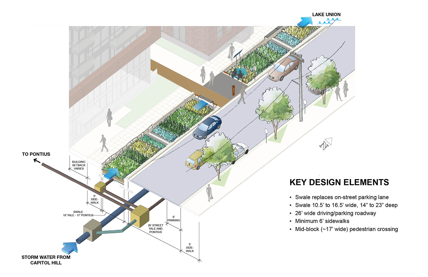 Going below the surface for better watershed health – Exxel Pacific